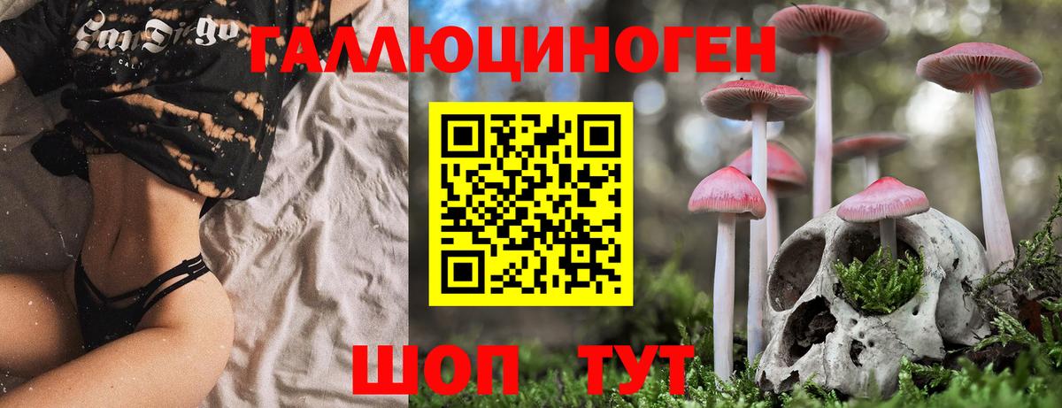 Псилоцибиновые грибы Magic Shrooms  купить наркотики сайты  Клин  Вход с VPN 