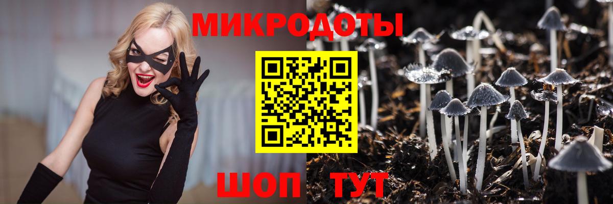 Псилоцибиновые грибы прущие грибы Клин